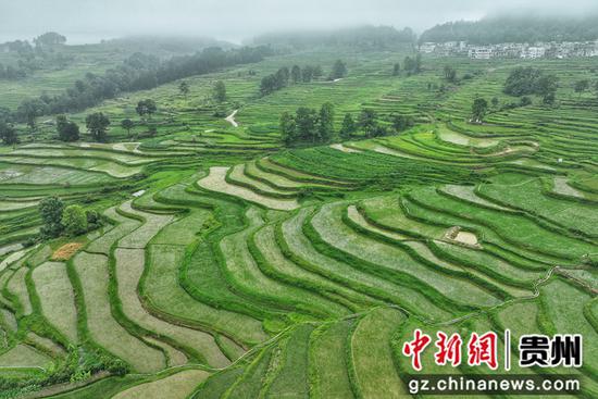 航拍贵州惠水雅水镇蓬路梯田