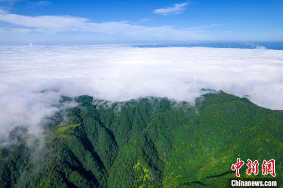 航拍贵州黔西顺石林场 层峦叠翠云雾缭绕