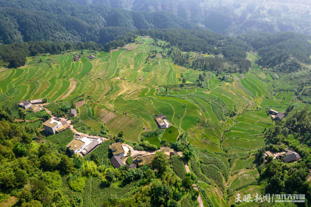 2024年7月2日拍摄的贵州省黔西市中坪镇大湾村梯田（无人机照片）。DJI_0917.JPG