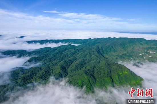 7月2日，地处乌蒙山腹地的贵州省黔西市中坪镇顺石林场，层峦叠翠、云雾缭绕，“林海”与“云海”相映，呈现出一幅幅生态美景。史开心 摄