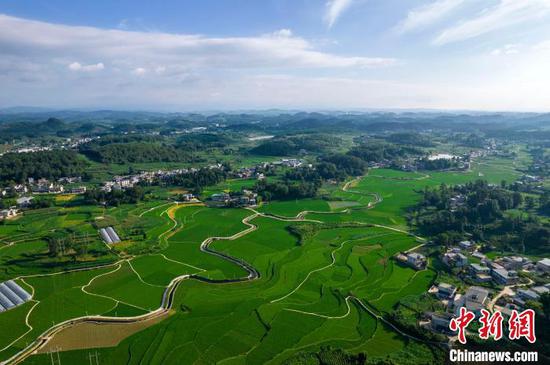 7月6日，航拍黔西市金碧镇铧口寨社区的高标准农田绿意盎然。史开心 摄