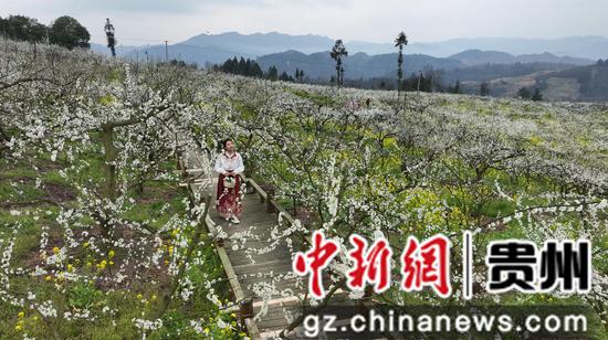 贵州镇远古城举办第二届“花语节”暨旅游宣传招商推介活动