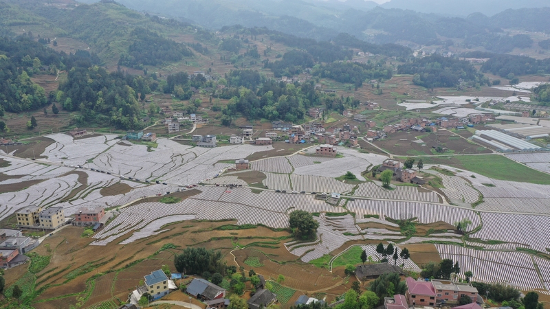 良村镇吼滩村大景