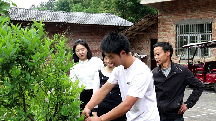 技术人员给村民介绍剪枝技术。